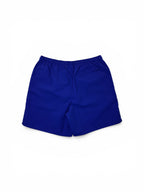 Stussy Water Shorts Cobalt (L)