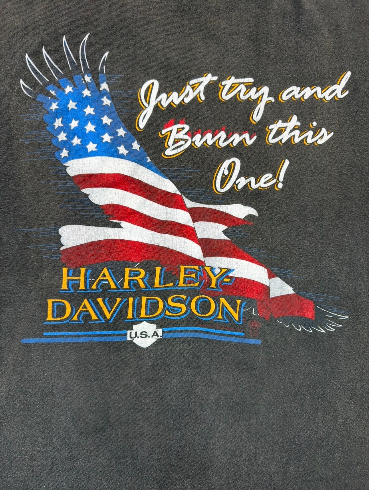 Vintage 80s Harley Burn This One Tee (L)