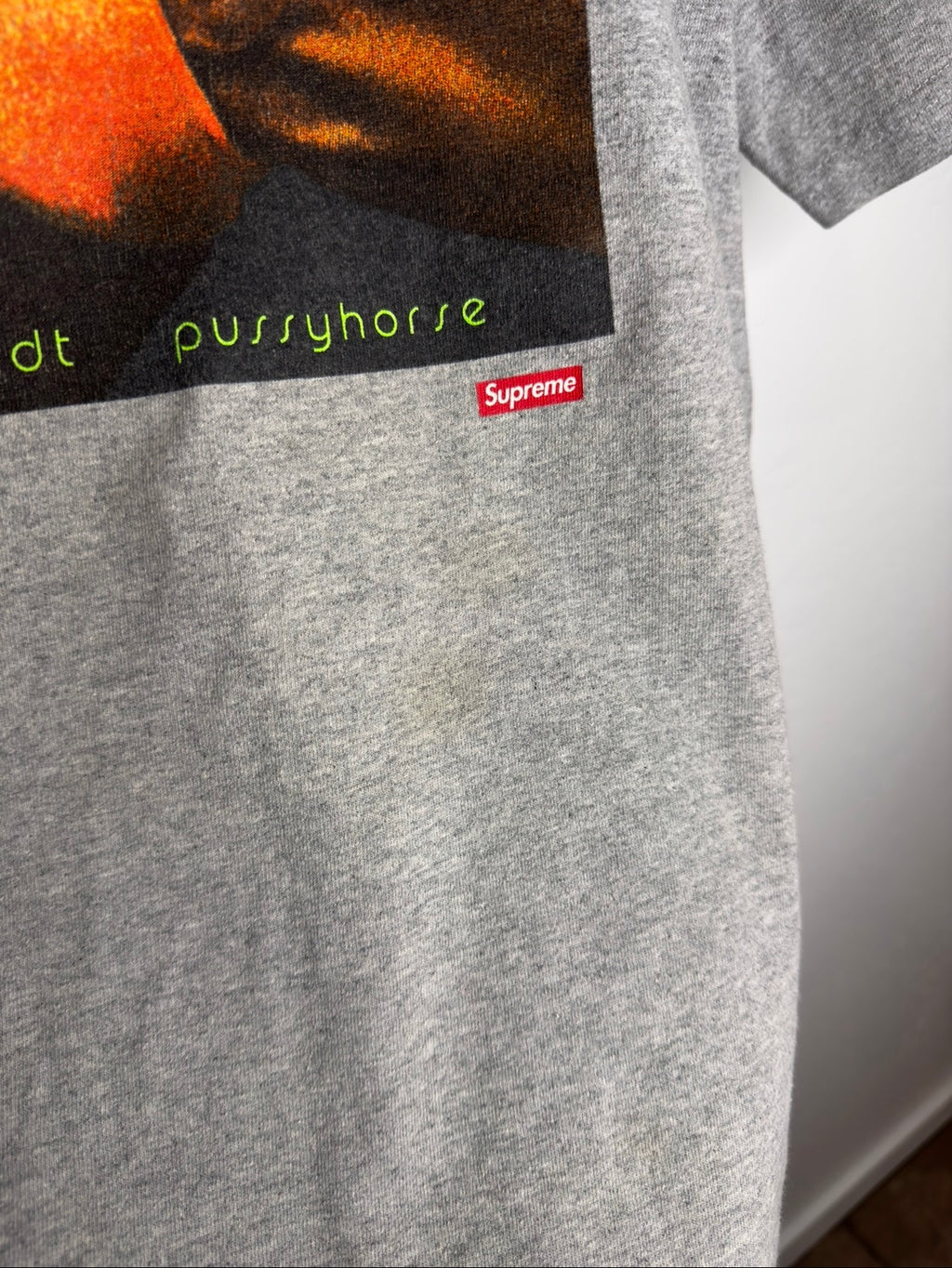 Supreme Rembrandt Pussyhorse Tee (L)