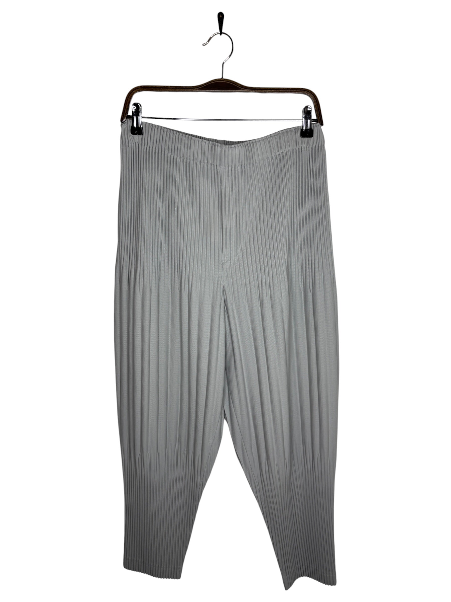 Issey Miyake Homme Plisse Grey Pleated Pants (L)